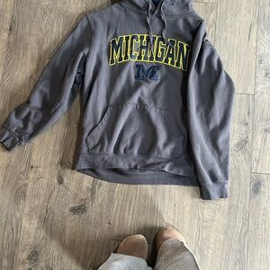 Gray Michigan Hoodie
